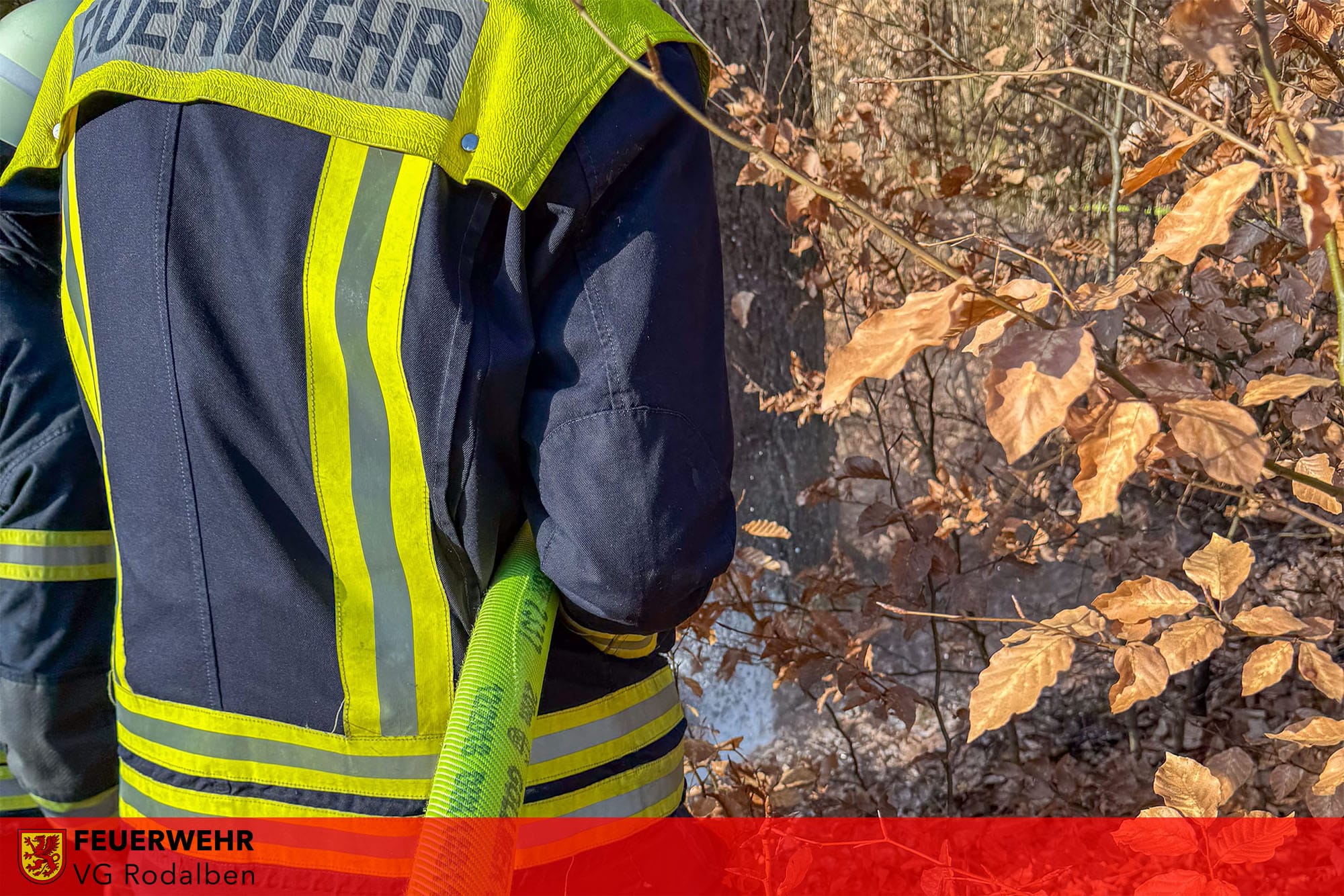 Dynamic Content Image