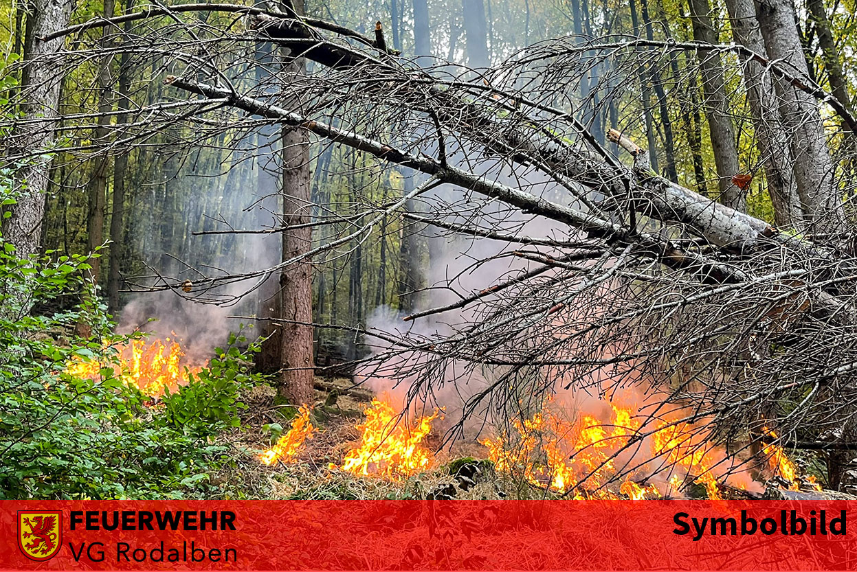 Dynamic Content Image