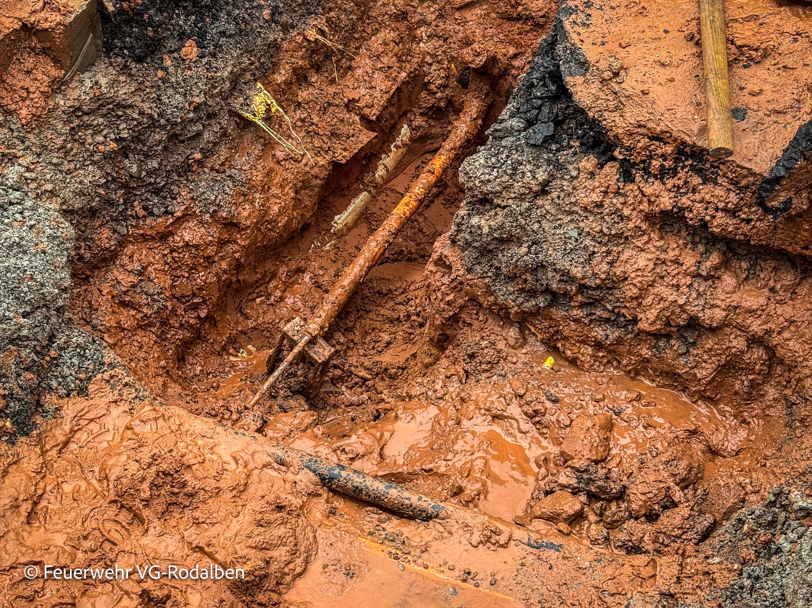 Dynamic Content Image